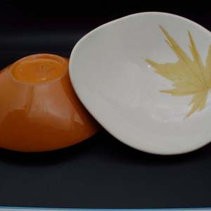 Iroquois Ceramic Dinnerware